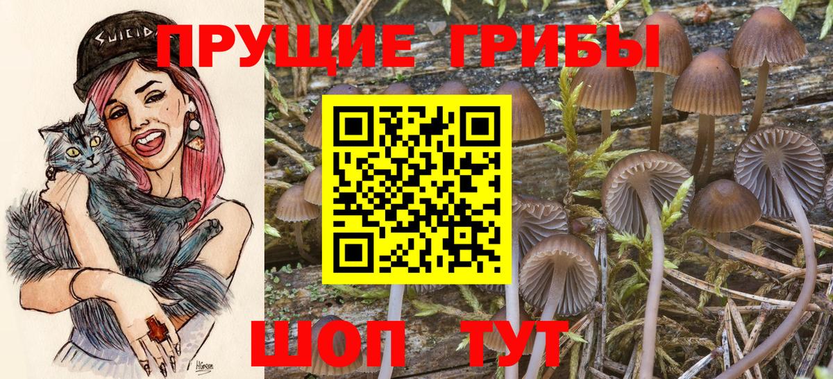 Галлюциногенные грибы Magic Shrooms Ленинск-Кузнецкий