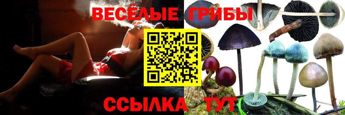 Псилоцибиновые грибы ЛСД  Вход с VPN  Ленинск-Кузнецкий  Псилоцибиновые грибы Cubensis 